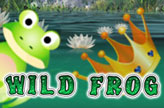 Wild Frog online spielen